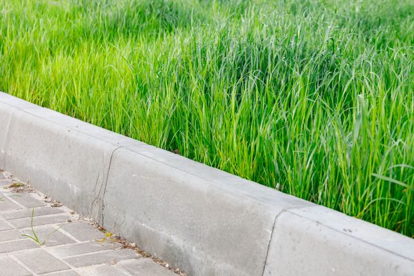 Concrete Curb Repair in Longview