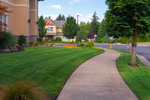 Sidewalk Patching in Longview