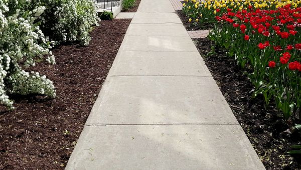 Concrete Pathway Repair in Longview